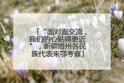 “面对面交流，我们的心贴得更近”，新疆博州各民族代表来鄂考察