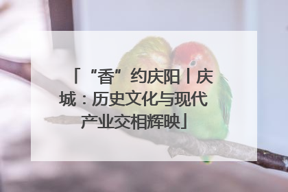 “香”约庆阳丨庆城：历史文化与现代产业交相辉映
