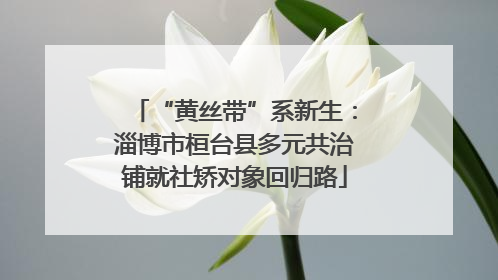 “黄丝带”系新生：淄博市桓台县多元共治铺就社矫对象回归路
