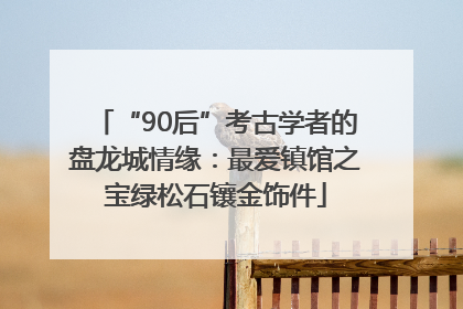 “90后”考古学者的盘龙城情缘：最爱镇馆之宝绿松石镶金饰件
