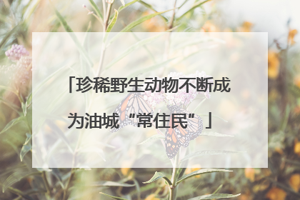 珍稀野生动物不断成为油城“常住民”