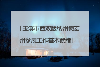 玉溪市西双版纳州德宏州参展工作基本就绪