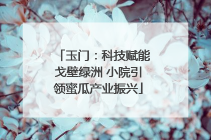 玉门：科技赋能戈壁绿洲 小院引领蜜瓜产业振兴