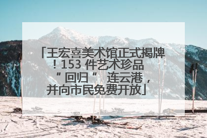 王宏喜美术馆正式揭牌！153 件艺术珍品 “ 回归 ” 连云港，并向市民免费开放