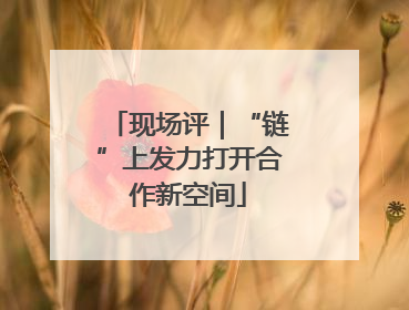 现场评｜“链”上发力打开合作新空间