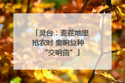 灵台：麦茬地里抢农时 奏响复种“交响曲”