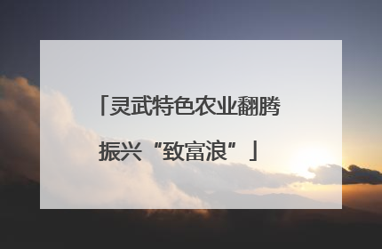 灵武特色农业翻腾振兴“致富浪”