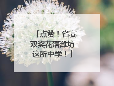 点赞！省赛双奖花落潍坊这所中学！