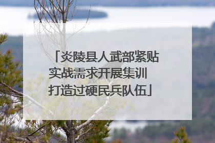 炎陵县人武部紧贴实战需求开展集训 打造过硬民兵队伍