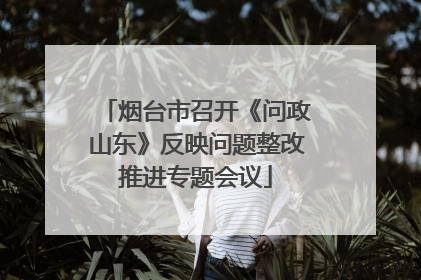 烟台市召开《问政山东》反映问题整改推进专题会议