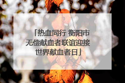 热血同行 衡阳市无偿献血者联谊迎接世界献血者日
