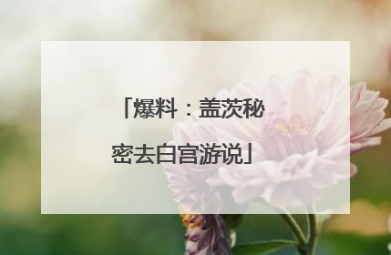 爆料：盖茨秘密去白宫游说