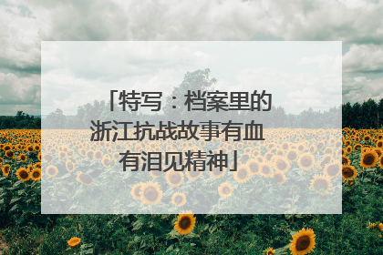 特写：档案里的浙江抗战故事有血有泪见精神