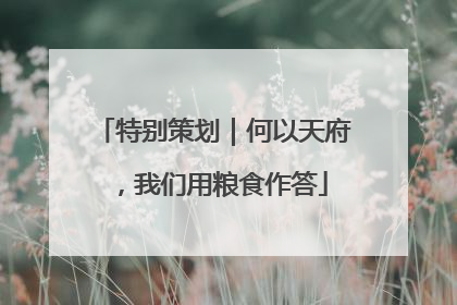 特别策划｜何以天府，我们用粮食作答