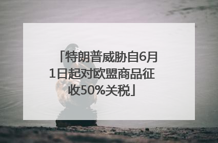 特朗普威胁自6月1日起对欧盟商品征收50%关税