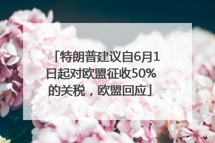 特朗普建议自6月1日起对欧盟征收50%的关税，欧盟回应