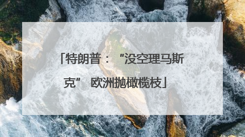 特朗普：“没空理马斯克” 欧洲抛橄榄枝