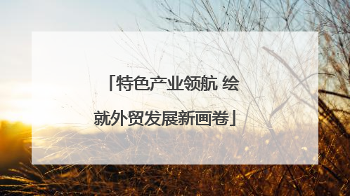 特色产业领航 绘就外贸发展新画卷
