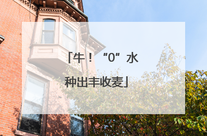 牛！“0”水种出丰收麦