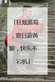 狂炫蓝莓,夏日游黄陂,快乐不宕机