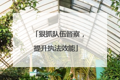 狠抓队伍督察，提升执法效能