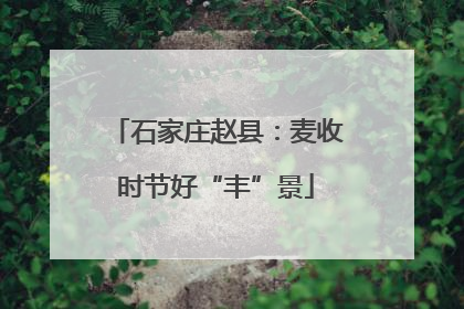 石家庄赵县：麦收时节好“丰”景