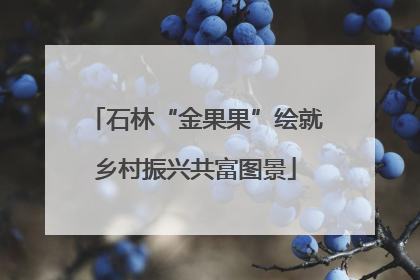 石林“金果果”绘就乡村振兴共富图景