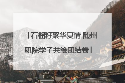 石榴籽聚华夏情 随州职院学子共绘团结卷