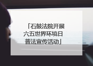 石鼓法院开展六五世界环境日普法宣传活动