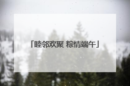睦邻欢聚 粽情端午
