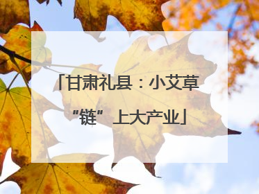 甘肃礼县：小艾草“链”上大产业