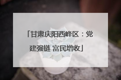 甘肃庆阳西峰区：党建强链 富民增收