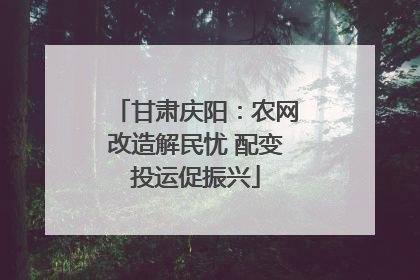 甘肃庆阳：农网改造解民忧 配变投运促振兴