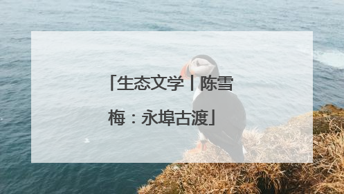 生态文学丨陈雪梅：永埠古渡