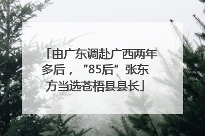 由广东调赴广西两年多后，“85后”张东方当选苍梧县县长