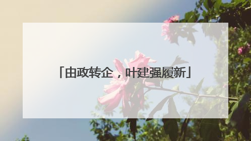 由政转企，叶建强履新