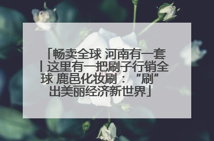 畅卖全球 河南有一套丨这里有一把刷子行销全球 鹿邑化妆刷：“刷”出美丽经济新世界