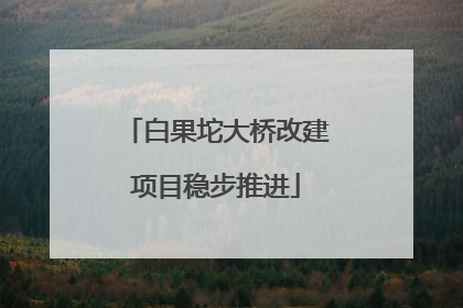 白果坨大桥改建项目稳步推进