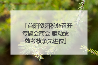 益阳资阳税务召开专题会商会 驱动绩效考核争先进位