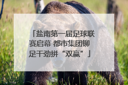 盐南第一届足球联赛启幕 都市集团铆足干劲拼“双赢”