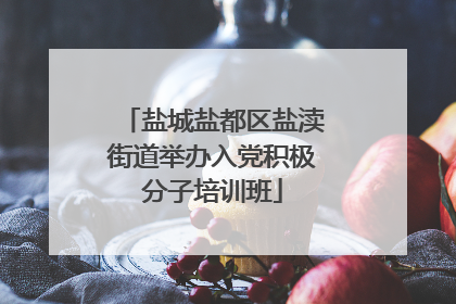 盐城盐都区盐渎街道举办入党积极分子培训班