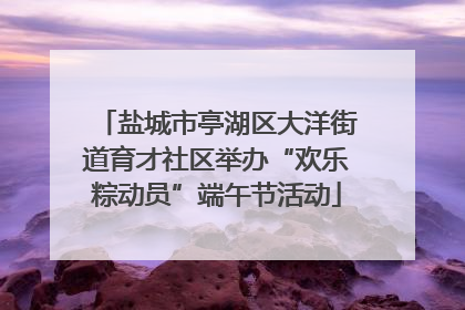 盐城市亭湖区大洋街道育才社区举办“欢乐粽动员”端午节活动