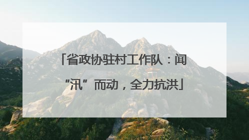 省政协驻村工作队：闻“汛”而动，全力抗洪