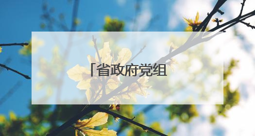 省政府党组召开会议