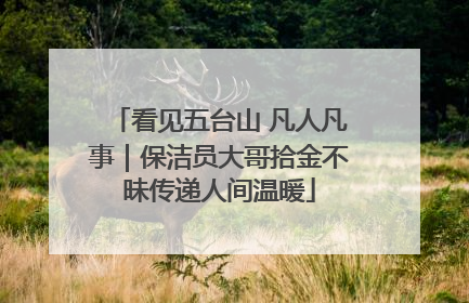 看见五台山 凡人凡事｜保洁员大哥拾金不昧传递人间温暖