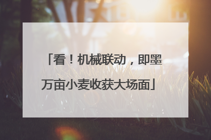 看！机械联动，即墨万亩小麦收获大场面