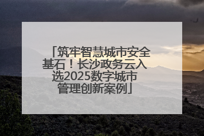 筑牢智慧城市安全基石！长沙政务云入选2025数字城市管理创新案例
