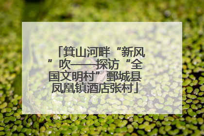 箕山河畔“新风”吹——探访“全国文明村”鄄城县凤凰镇酒店张村