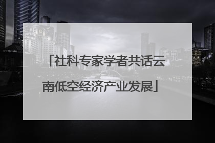 社科专家学者共话云南低空经济产业发展