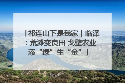 祁连山下是我家｜临泽：荒滩变良田 戈壁农业添“绿”生“金”